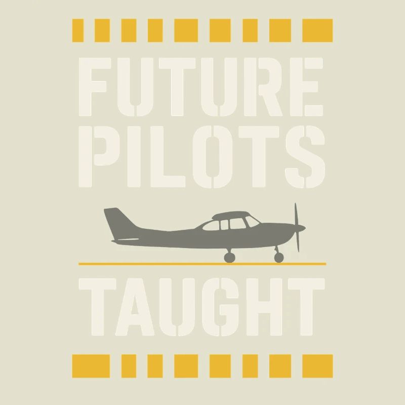 Flight Instructor Cfi Pilot Aviation Instructor