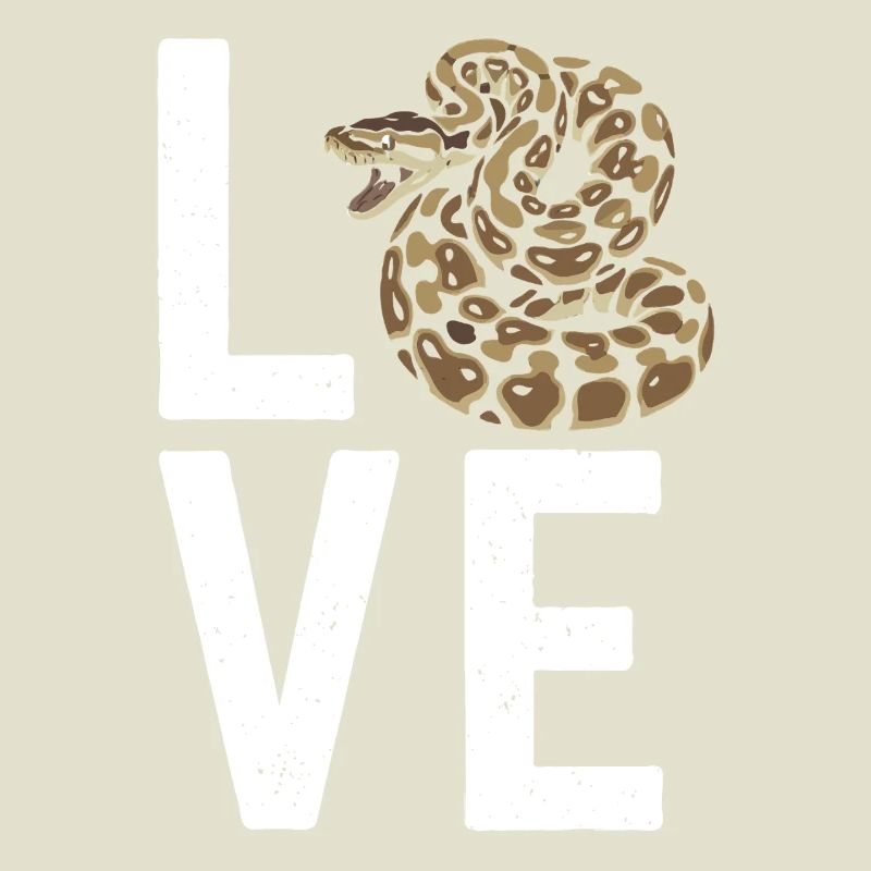 Königspython Schlangen LOVE Terrarium Python