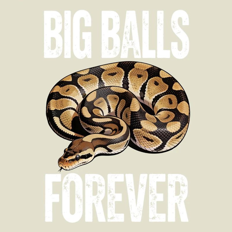 Python roi Serpents Amateurs de terrarium Python