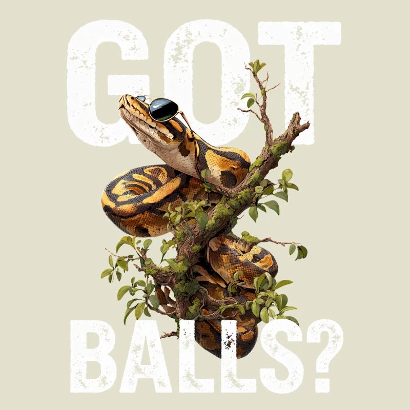 Königspython Schlangen Liebhaber Terrarium Python