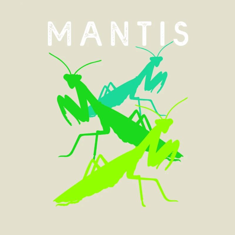 Gottesanbeter Gottesanbeterin Mantis