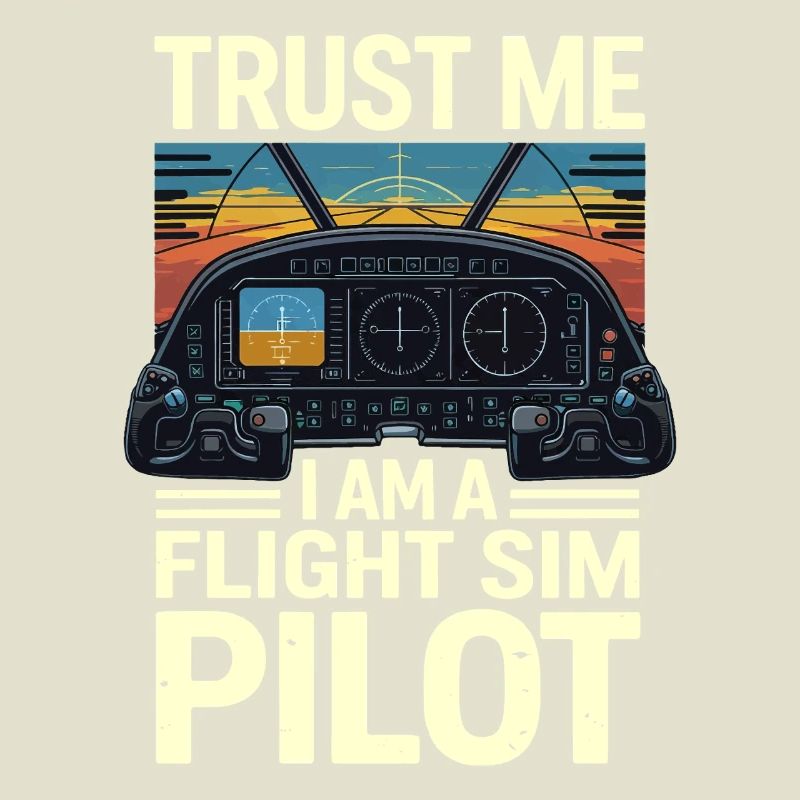 Vertrau mir ich bin ein Flugsimulatorpilot