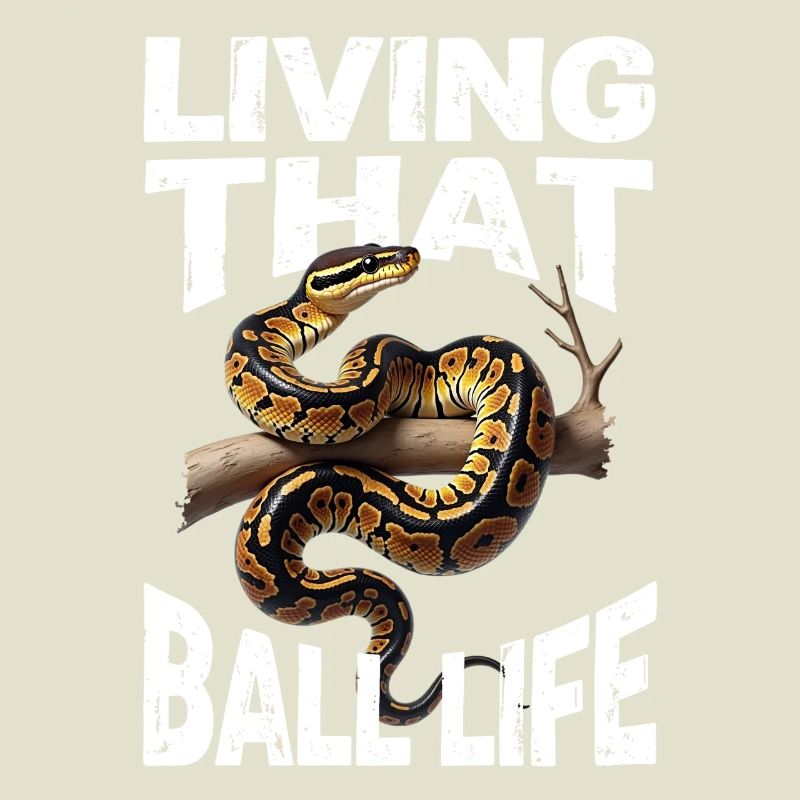 King Python Snakes Lover Terrarium Python