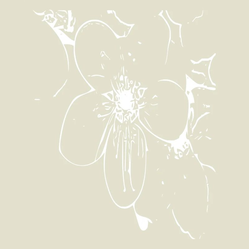 Abstract Flower / Line / Pattern / Nature / White