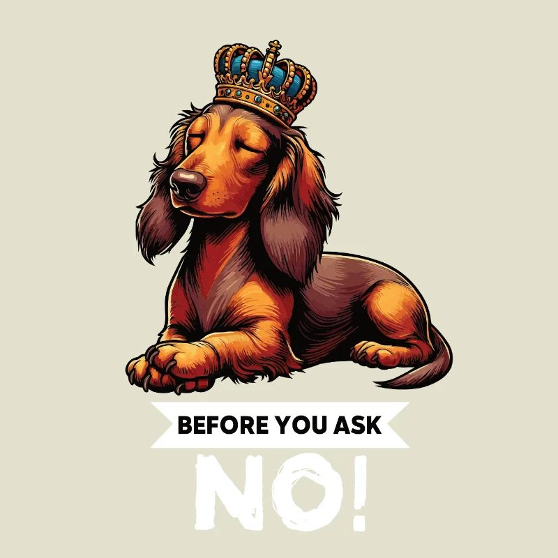 Before You Ask Langhaardackel Dackel Teckel Tekkel