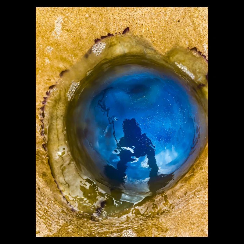 Méduse bleue avec Reflet sur Le Sable "Moi et mon Yelly