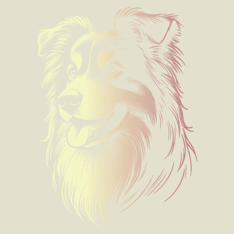 Australian Shepherd Traits 2 Gradient
