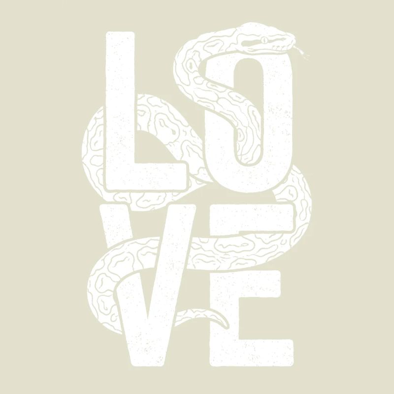 Königspython Schlangen LOVE Terrarium Python