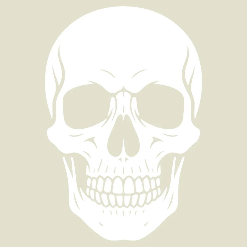 Skull Silhouette Graphic