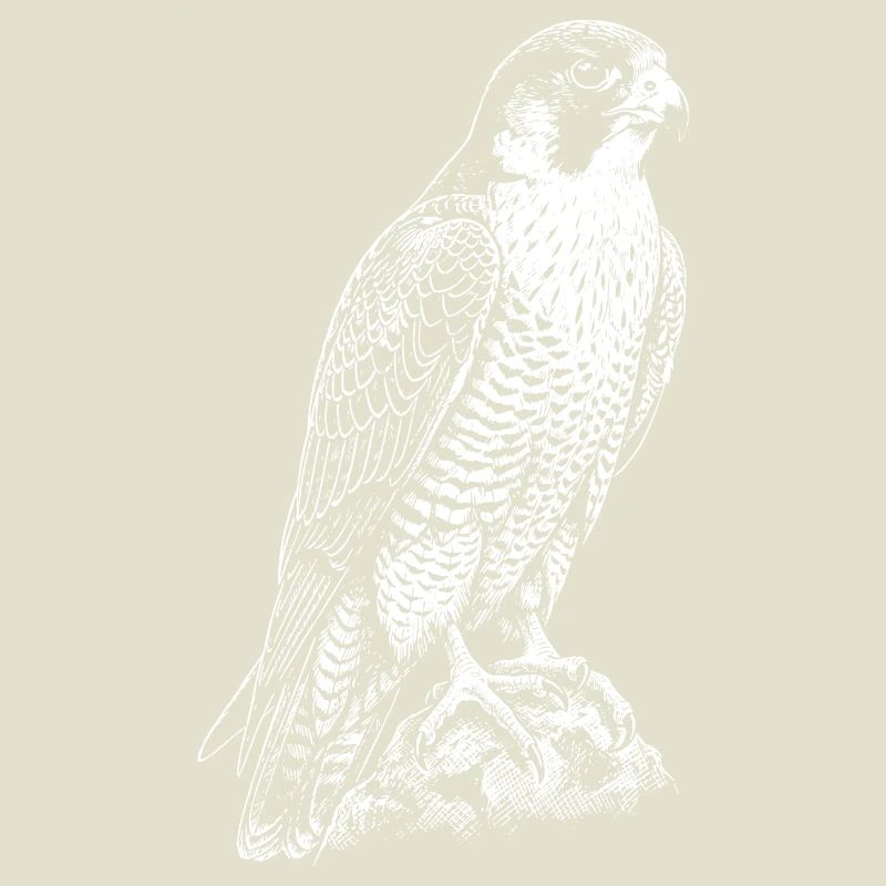 Predatory Falcon Silhouette
