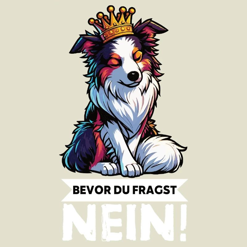 Bevor Du Fragst Australian Shepherd Aussie Aussie