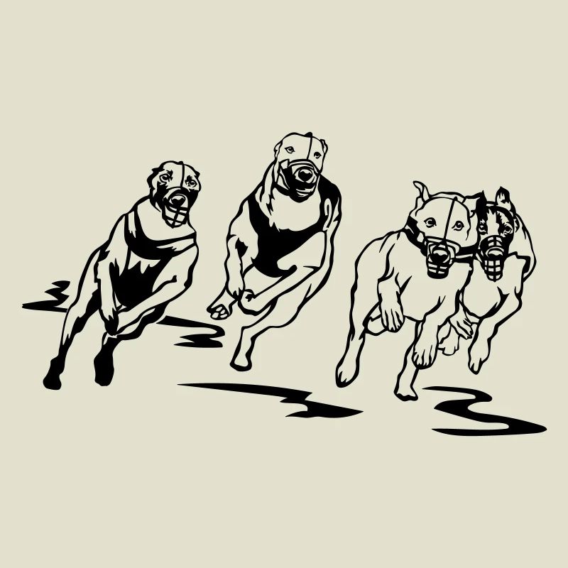 Whippets