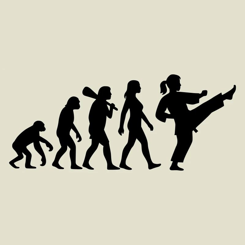 Karate Evolution