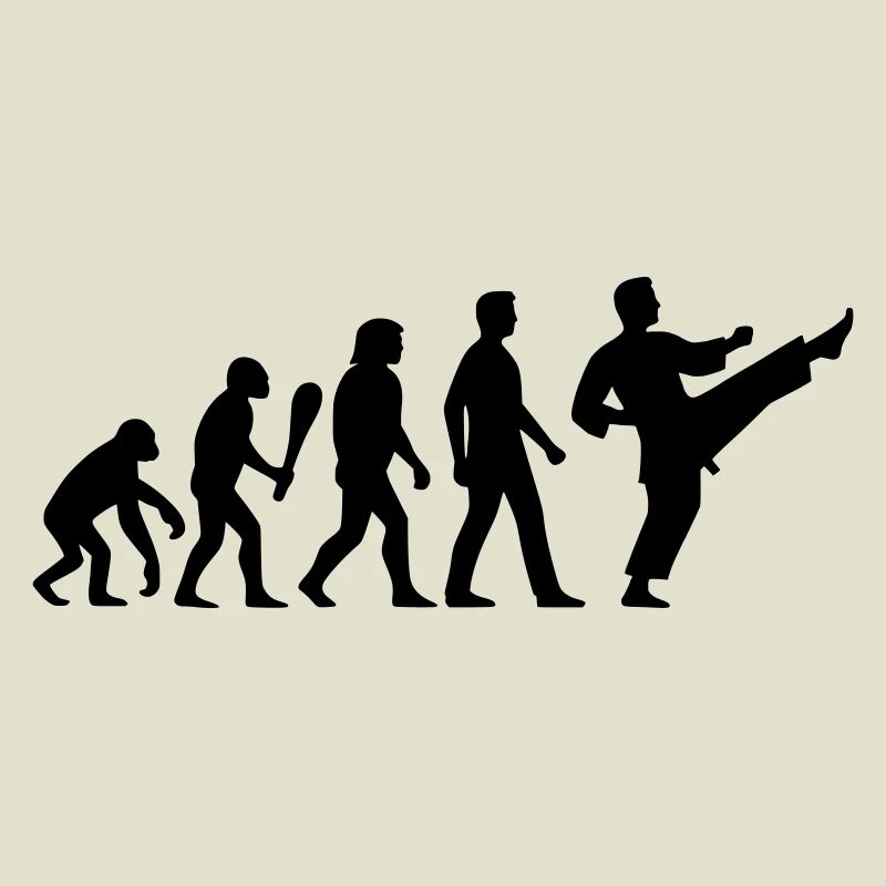 Karate Evolution