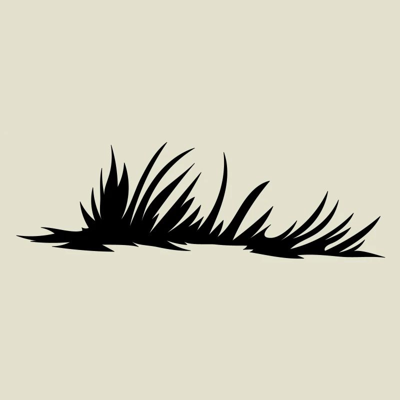 Meadow Meadow