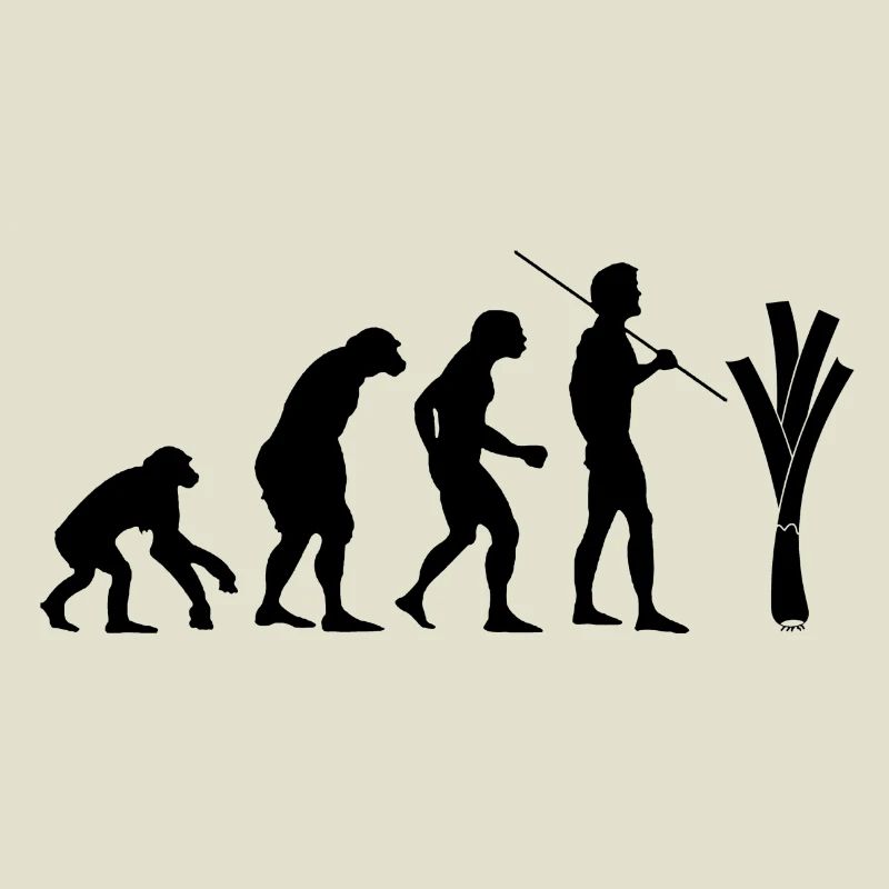 Evolution des Lauchs