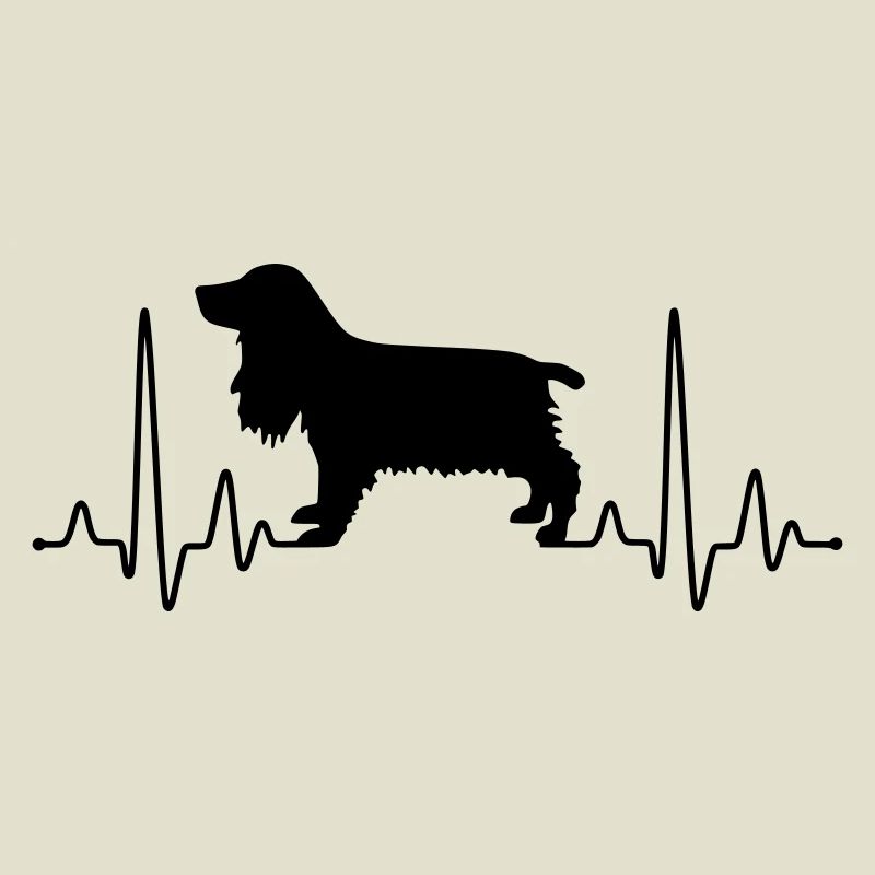 Cocker Spaniel Plus