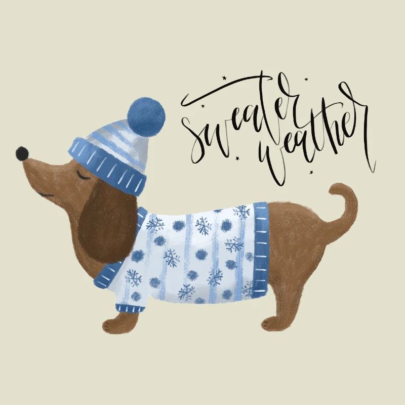 Teckel avec pull et chapeau Pull Météo bleu