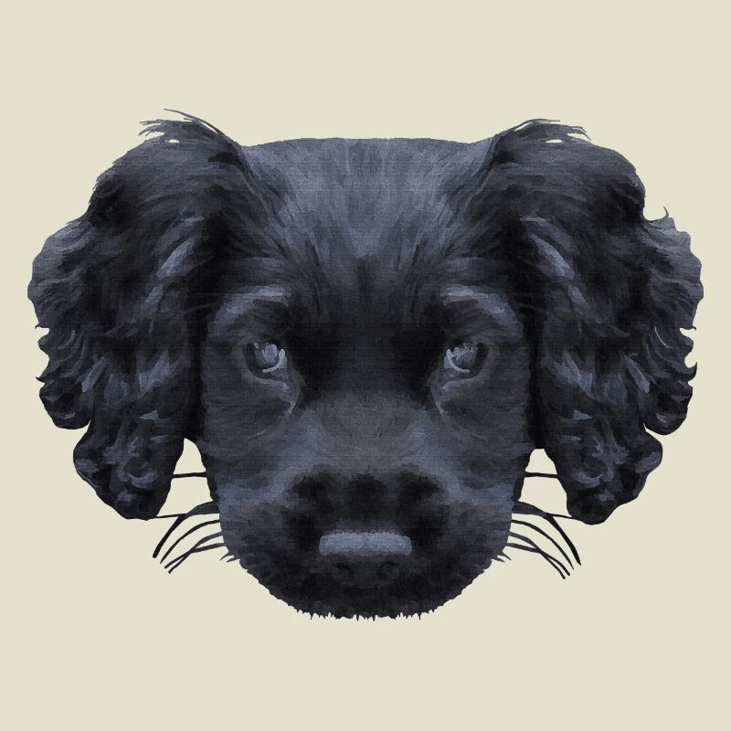 weihnachtsgeschenke für jedermann, Cocker spaniel