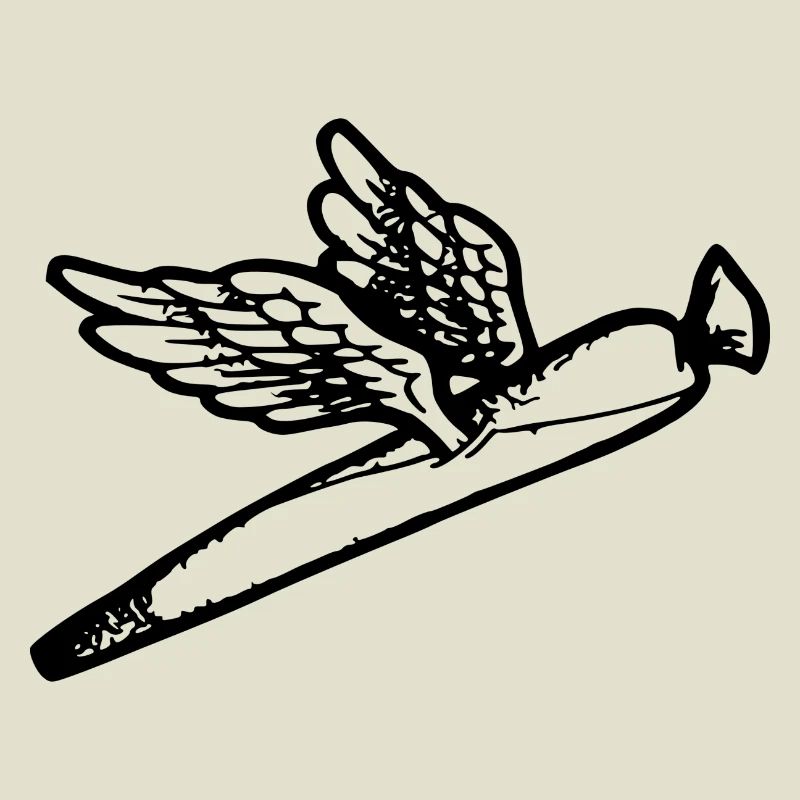 We fly so High