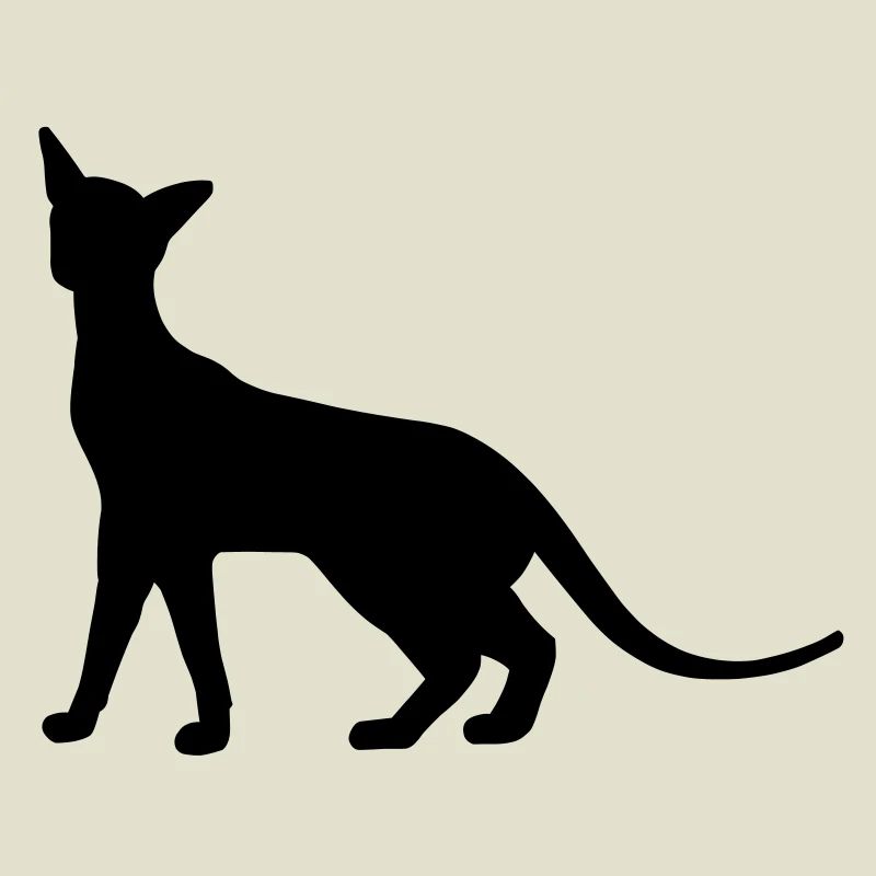 Siam Katze