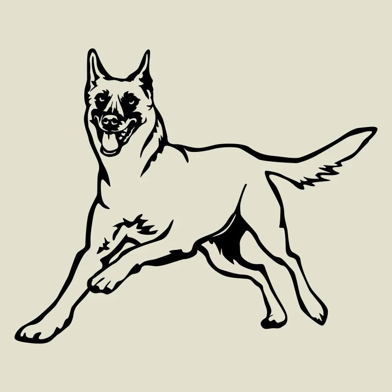 Malinois