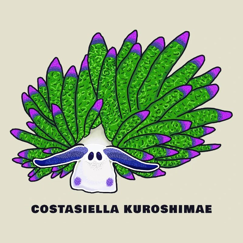 Leaf Sheep Snail, Drawing