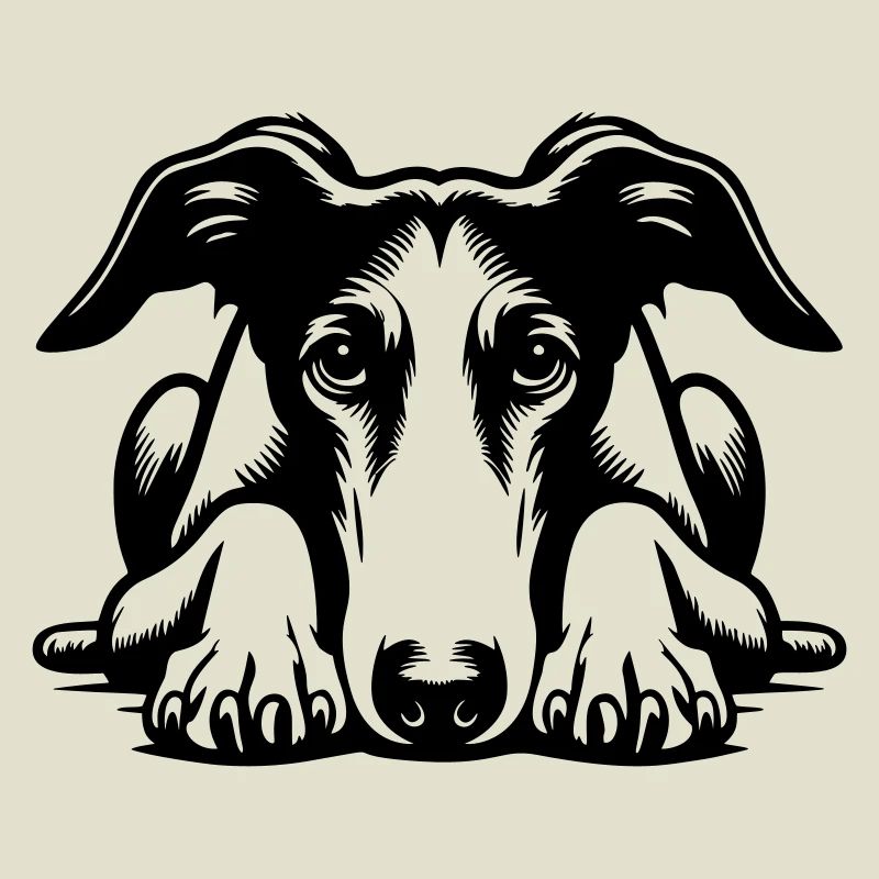 Galgo Kopf mit Pfoten