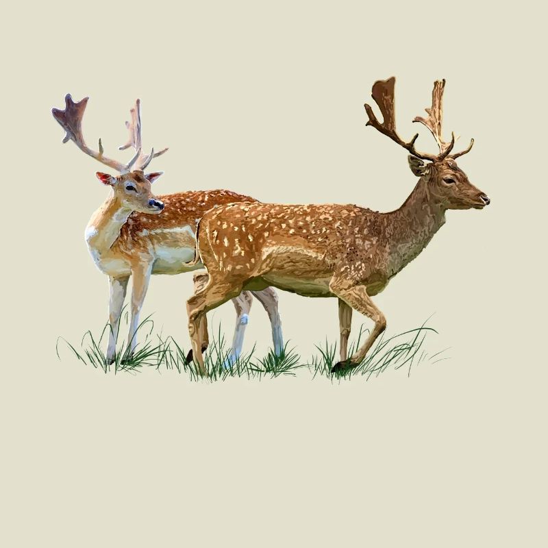 deer