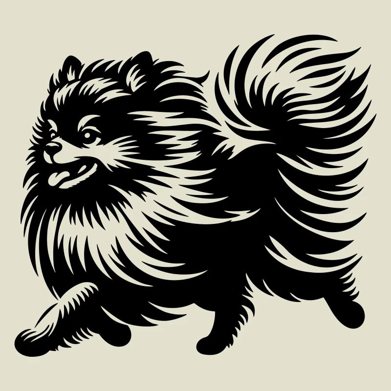 Dwarf spitz