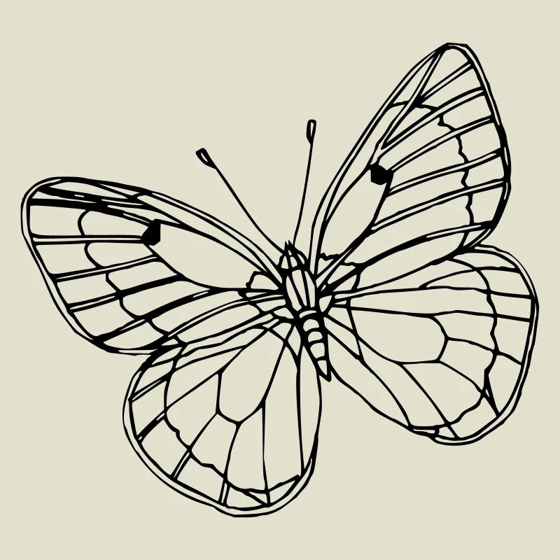 Papillon