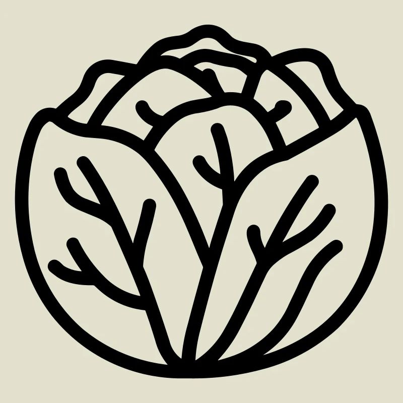 cabbage