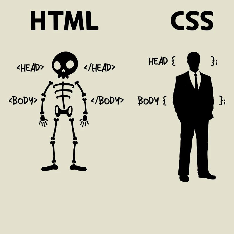 Développeur Programmeur Coden Code de script CSS