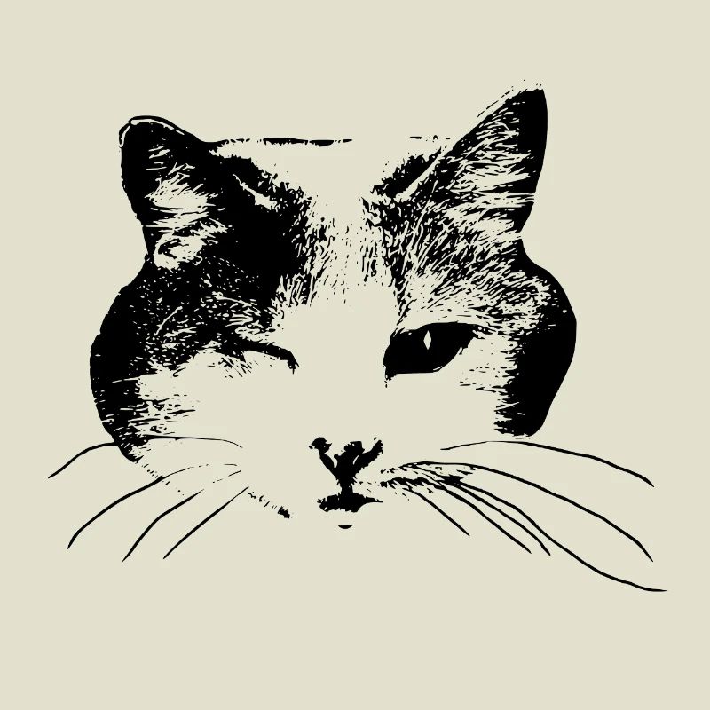 Clin d’œil minou