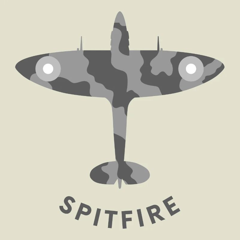 Spitfire fighter plane