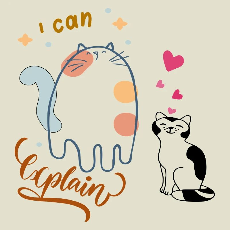 I can explain