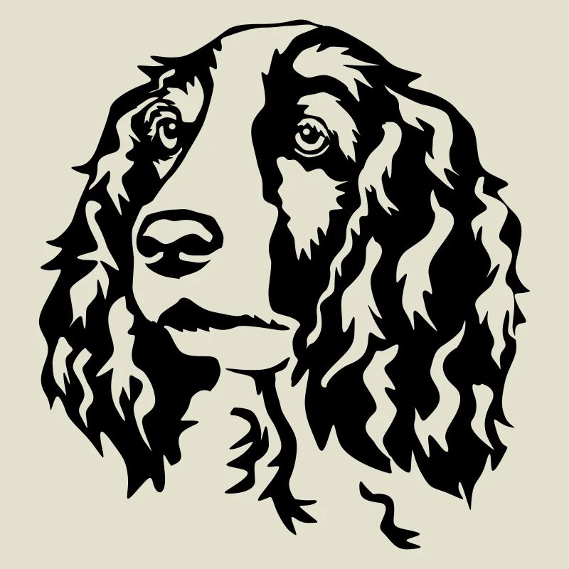 Welsh Springer Spaniel Kopf