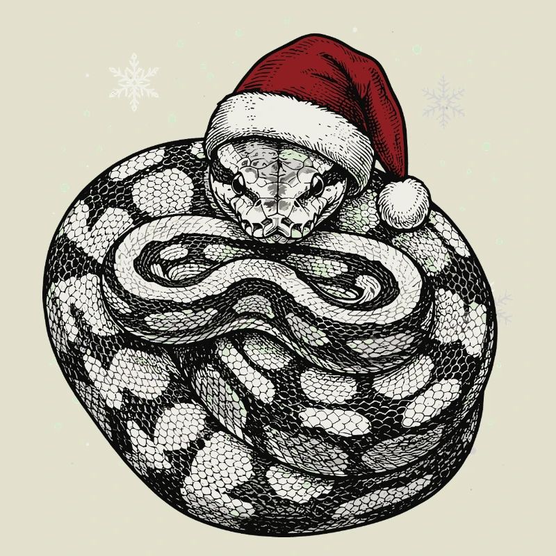 Serpent roi python roi de Noël Python boule