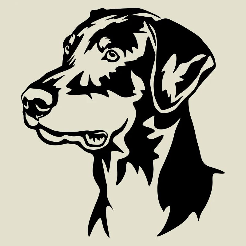Tête de Doberman
