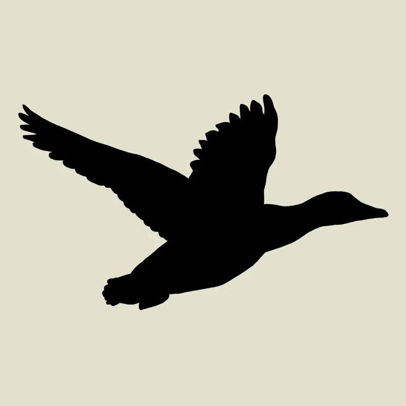 Duck in flight