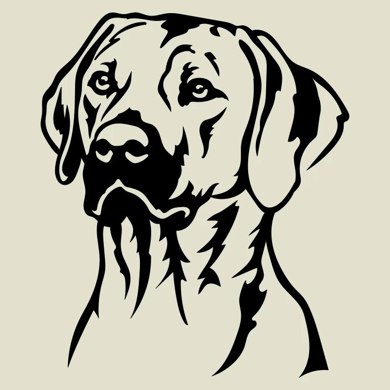 Rhodesian Ridgeback Head