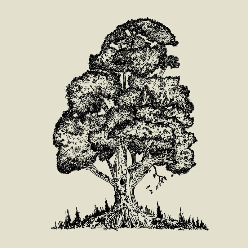 MJR - Schwarzer Baum