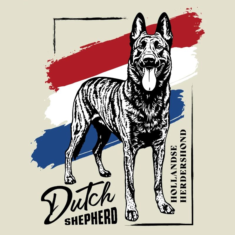Dutch Shepherd - Dutchie 