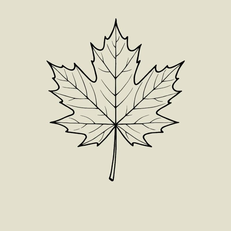 Maple Leaf Line Design