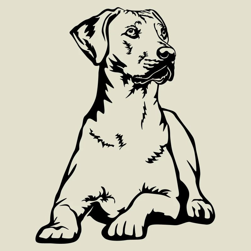 Rhodesian Ridgeback