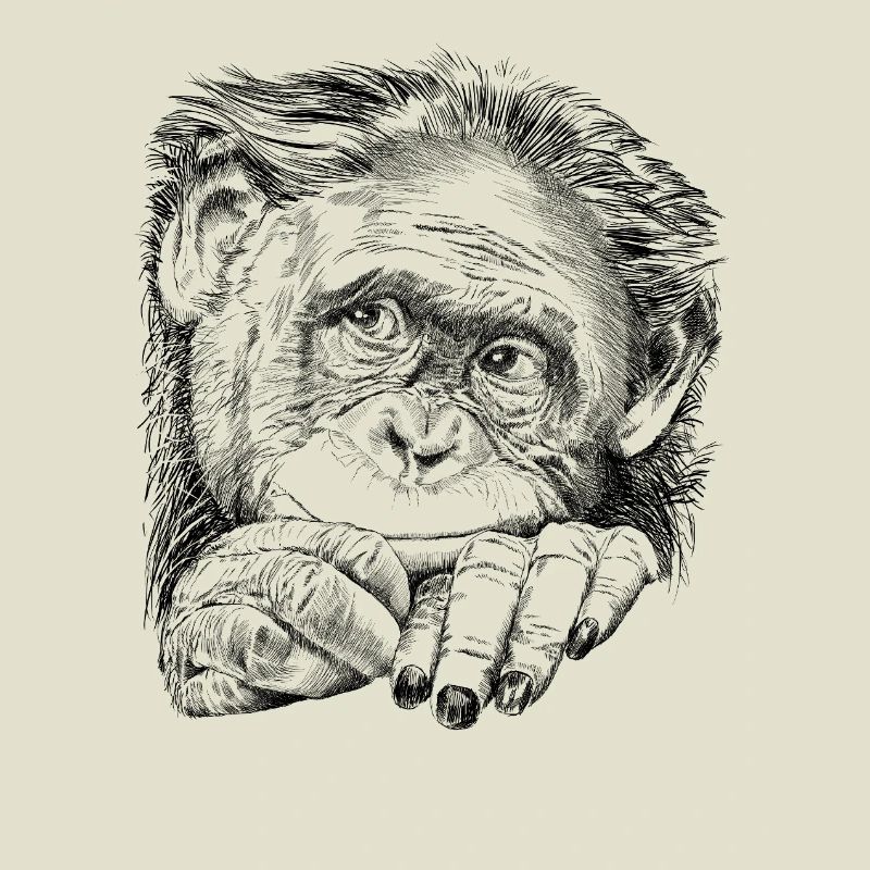Singe