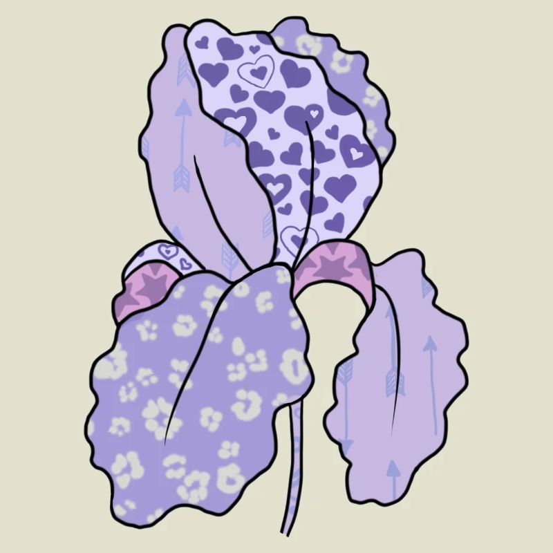 Bunte_Iris