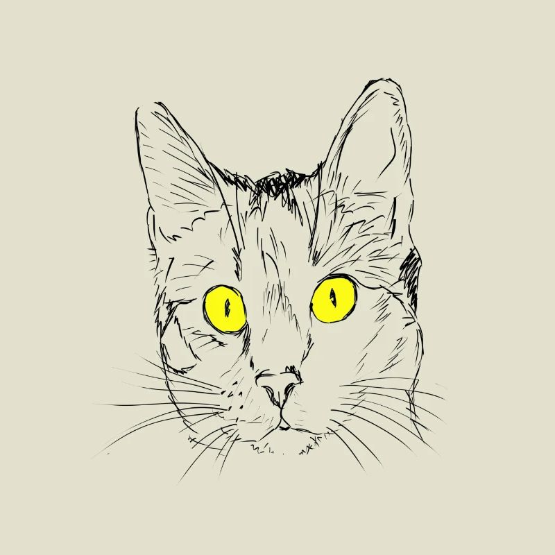 Chat, gueule de bois, amant de chat, tête de chat, oeil de chat