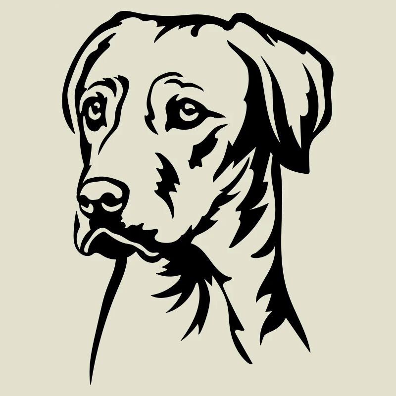 Rhodesian Ridgeback Kopf