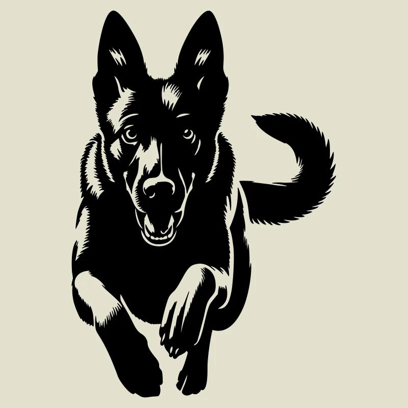 Malinois